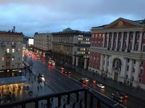 Pandas shelter Tverskaya 8